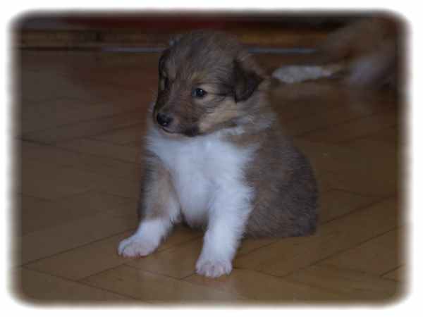 Foto pro nové majitele.jpg