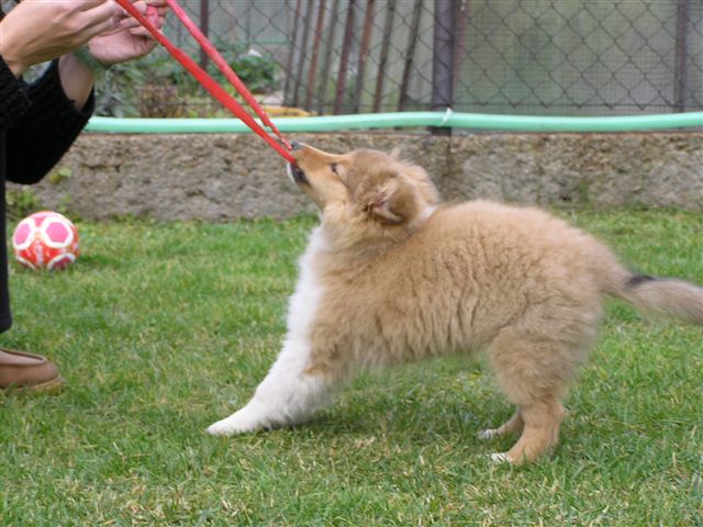 Adélka 2,5month (3).jpg