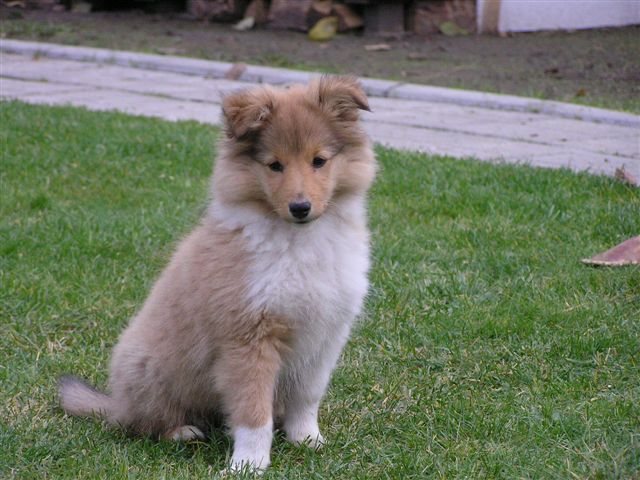 Adélka 2,5month (22).jpg