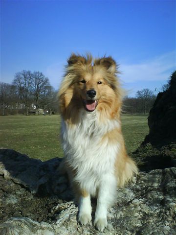 Adélka 7,5 month château Jemčina.JPG